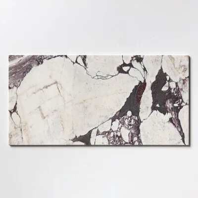Calacatta Viola Marble — stone sample