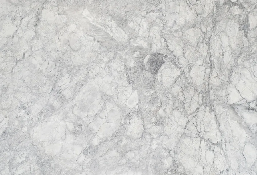 Super White Quartzite — surface close-up